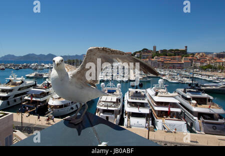 Cannes, Francia - 07 Giugno 2017: Midem, la International B2B mercato musicale | Utilizzo di tutto il mondo Foto Stock