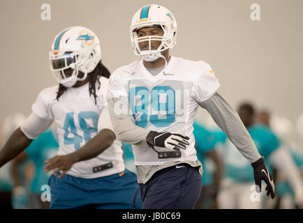 Davie, Florida, Stati Uniti d'America. 8 Giugno, 2017. I Delfini di Miami del terminale a tenuta di Giulio Tommaso (89) a Miami Dolphins training facility in Davie, Florida il 8 giugno 2017. Credito: Allen Eyestone/Palm Beach post/ZUMA filo/Alamy Live News Foto Stock