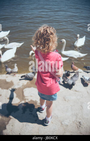 Ragazza alimenta i cigni Foto Stock