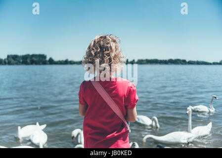 Ragazza alimenta i cigni Foto Stock