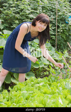 Giovane donna in un giardino da un canicular giornata di sole Foto Stock