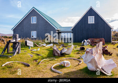 Le ossa di balena in museo Djúpalónssandur, Islanda Foto Stock