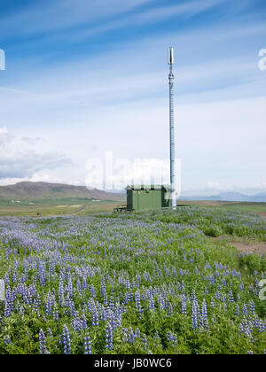 Telefono cellulare di telecomunicazioni antenna radio torre in una fioritura estiva campo. Concetti: comunication, ambiente, natura e inquinamento elettromagnetico. L'Islanda, l'Europa. Foto Stock