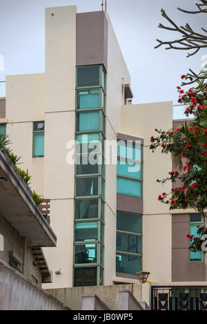 Casa moderna in giardini murati, Shek O, Hong Kong Foto Stock