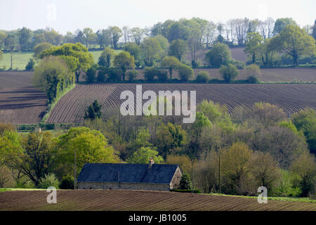 Paesaggio di campagna in primavera, campi coltivati separati da siepi piantati da alberi (Nord Mayenne, Paese della Loira, in Francia, in Europa). Foto Stock