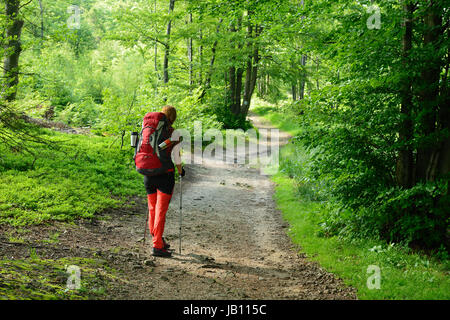 Hikings lungo sentieri escursionistici nelle montagne Beskid in Polonia con lo zaino sulla schiena Foto Stock