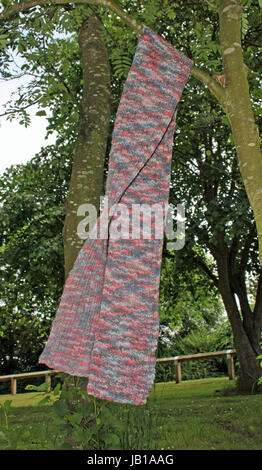 Una bella mano morbida maglia Sciarpa adulti appeso a un ramo di albero. Il foulard è lavorato a maglia a partire da un filo che è in grigio e sfumature di rosa. Foto Stock