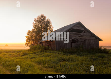 Un solitario fienile casa su un molto nebbioso campo durante il tramonto di mezza estate. Il sole quasi non imposta nelle zone rurali del nord della Finlandia nella summertim Foto Stock