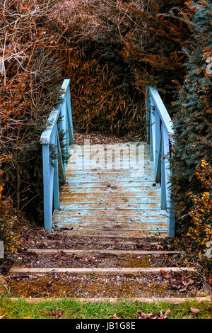 Boccole autunnali e il sentiero passi che conducono a un dipinto di blu passerella in legno attraverso un ruscello in Suffolk, Regno Unito Foto Stock