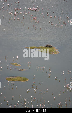 Lake Nakuru National Park in Kenya Foto Stock