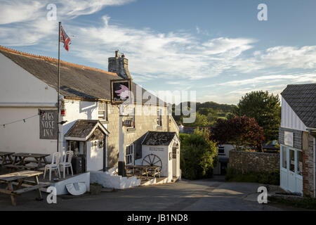 I suini naso Inn a Oriente Prawle, South Devon, Regno Unito. Foto Stock