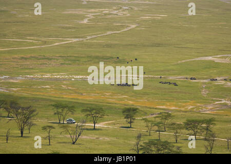 Vista della savana vicino al lago Nakuru National Park, Kenya con Acqua di bufala e Pellicani in background Foto Stock