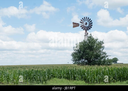 Migliaia di ettari di mais e campi di cotone in Texas Blackland Prairie. Acqua è necessaria per l'irrigazione in modo vento guidato acqua pompe forniscono acqua. Foto Stock