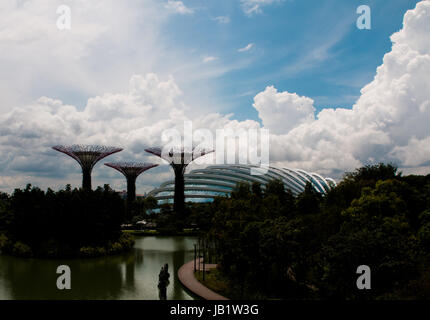 Super tree grove, in acciaio, in giardini dalla Baia di Singapore Foto Stock