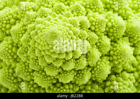 Verde Broccolo romanesco isolati su sfondo bianco Foto Stock