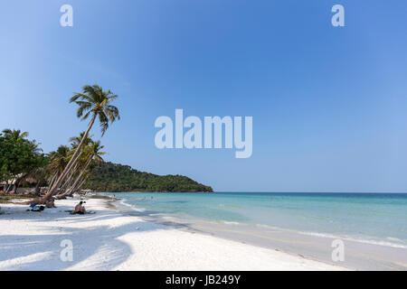 La vacanza estiva vacanza nell'isola di Phu Quoc di spiaggia di sabbia bianca, alberi di noce di cocco / palme di cielo blu chiaro Foto Stock