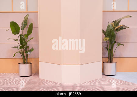 Il verde di piante in vaso per interni su una parete bianca Foto Stock
