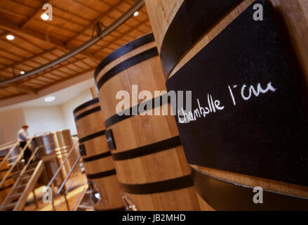 Chambolle 1er Cru blackboard placca su oak cuve canna nel moderno cuverie presso la cantina Sablière di Louis Jadot. Beaune, Côte d'Or, Francia. Foto Stock