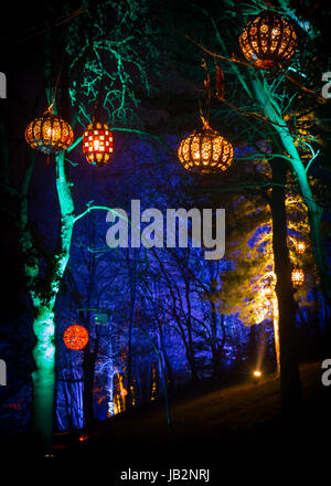 Lanterne sospese da alberi nel bosco a piedi a Blenheim Palace di luci di Natale. Dicembre 2016 Foto Stock