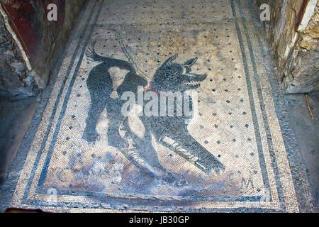 Cave canem attenti di cane mosaico a Pompei Italia Foto Stock