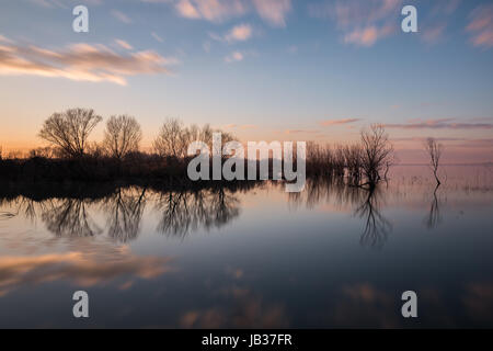 Perfettamente simmetrica riflessioni di alberi e nuvole su un lago al tramonto Foto Stock