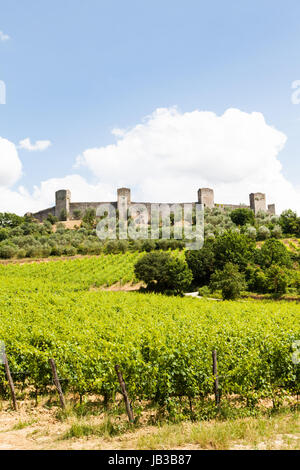 Monteriggioni, Regione Toscana, Italia. Vigneto di fronte le antiche mura medievali Foto Stock