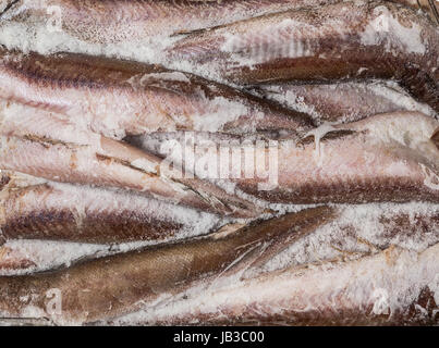 Carcassa congelata pesce in mattone per scambi, sfondo Foto Stock