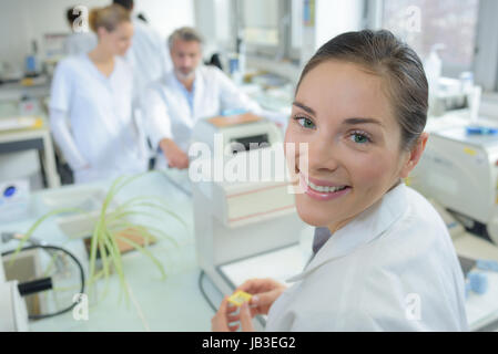 Ritratto di un ricercatore femmina facendo ricerca in laboratorio Foto Stock