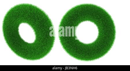 Oggetto Torus ricoperte di erba isolati su sfondo bianco Foto Stock
