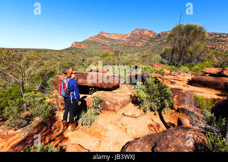 Flinders Ranges Australia del Sud Foto Stock