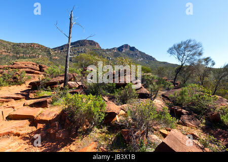 Flinders Ranges Australia del Sud Foto Stock