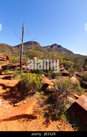 Flinders Ranges Australia del Sud Foto Stock