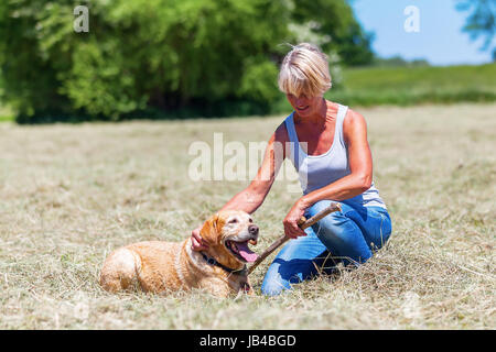Ritratto di una donna matura con un labrador retriever in un campo di fieno Foto Stock