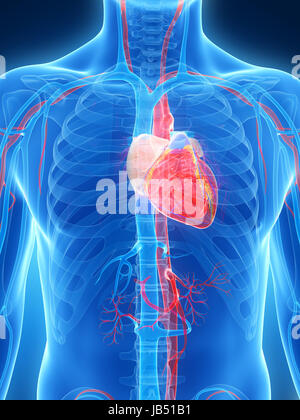 3d reso illustrazione del cuore umano Foto Stock