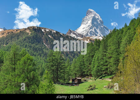 Prato alpino sullo sfondo del Cervino Foto Stock