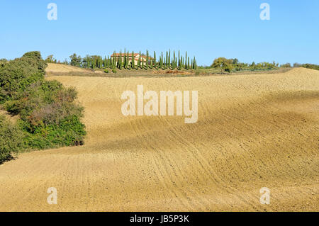 Podere im Herbst - Podere in caduta 22 Foto Stock