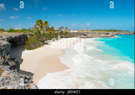 Alloggiamento inferiore è una delle più belle spiagge dell'isola caraibica di Barbados. Si tratta di un paradiso tropicale con palme appesa sopra il mare turchese e una grotta dei pirati Foto Stock