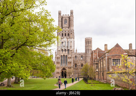 Cattedrale di Ely in Ely , Cambridgeshire , Inghilterra , Inghilterra , Regno Unito Foto Stock