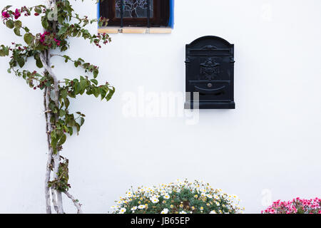 Blu scuro contro la cassetta postale di un bianco puro, decorato con piante e vasi per fiori Foto Stock