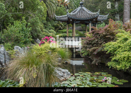 Queen's Gardens nel centro di Nelson, Nuova Zelanda Foto Stock