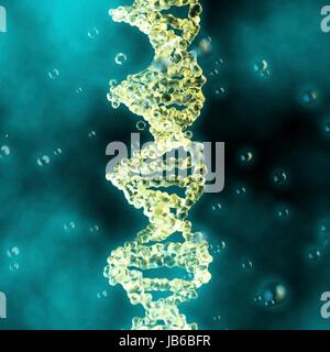 DNA (acido desossiribonucleico) molecola, illustrazione del computer. Foto Stock