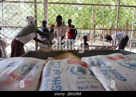 Nairobi. Il 7 giugno, 2017. Un lavoratore del WFP distribuisce il granturco donati dal governo cinese per rifugiati di Kakuma campo profughi in Kenya, 7 giugno 2017. Il Programma Alimentare Mondiale delle Nazioni Unite (PAM) Mercoledì ha ricevuto 5 milioni di dollari in aiuti alimentari da parte del governo cinese di rifugiati di Kakuma camp nel nord del Kenya. Credito: Sun Ruibo/Xinhua/Alamy Live News Foto Stock