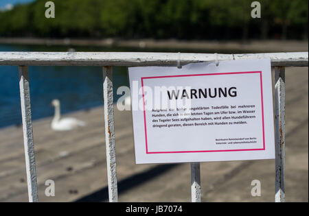 Berlino, Germania. 2 Giugno, 2017. Un funzionario segno avverte di veleno che ha ucciso più cani nella zona intorno al Tegeler vedere il lago a Berlino (Germania), 2 giugno 2017. Foto: Lino Mirgeler/dpa/Alamy Live News Foto Stock