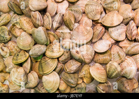 Freschi vongole per la vendita nel mercato locale in Madrid.sfondo di frutti di mare Foto Stock