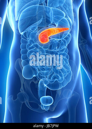 3d reso illustrazione del pancreas maschio Foto Stock