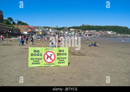 South Bay Scarborough North Yorkshire Cani non ammessi segno Foto Stock