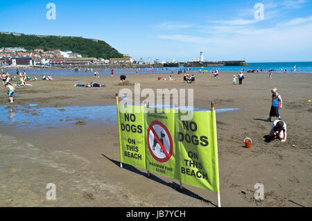 dh South Bay Beach SCARBOROUGH NORTH YORKSHIRE non sono ammessi cani Cartello segnaletica per cani segnaletica per le spiagge cartello UK Foto Stock