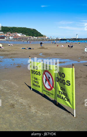 South Bay Scarborough North Yorkshire Cani non ammessi segno dog beach Foto Stock