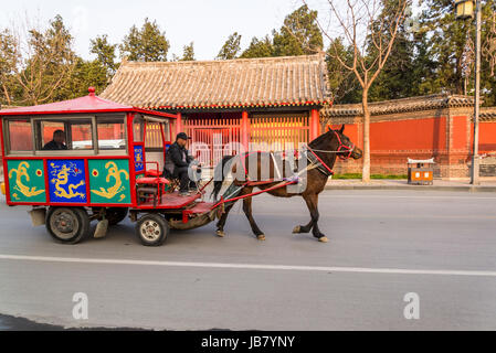 Cavallo e tram, Qufu, provincia di Shandong, Cina Foto Stock