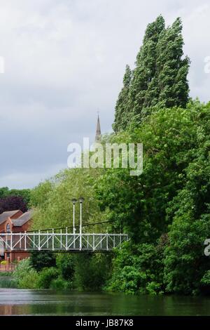 Trews Weir Suspension Bridge (1935), St Leonard Chiesa guglia, alberi e il fiume Exe. Exeter Devon, Regno Unito. Giugno, 2017. Foto Stock